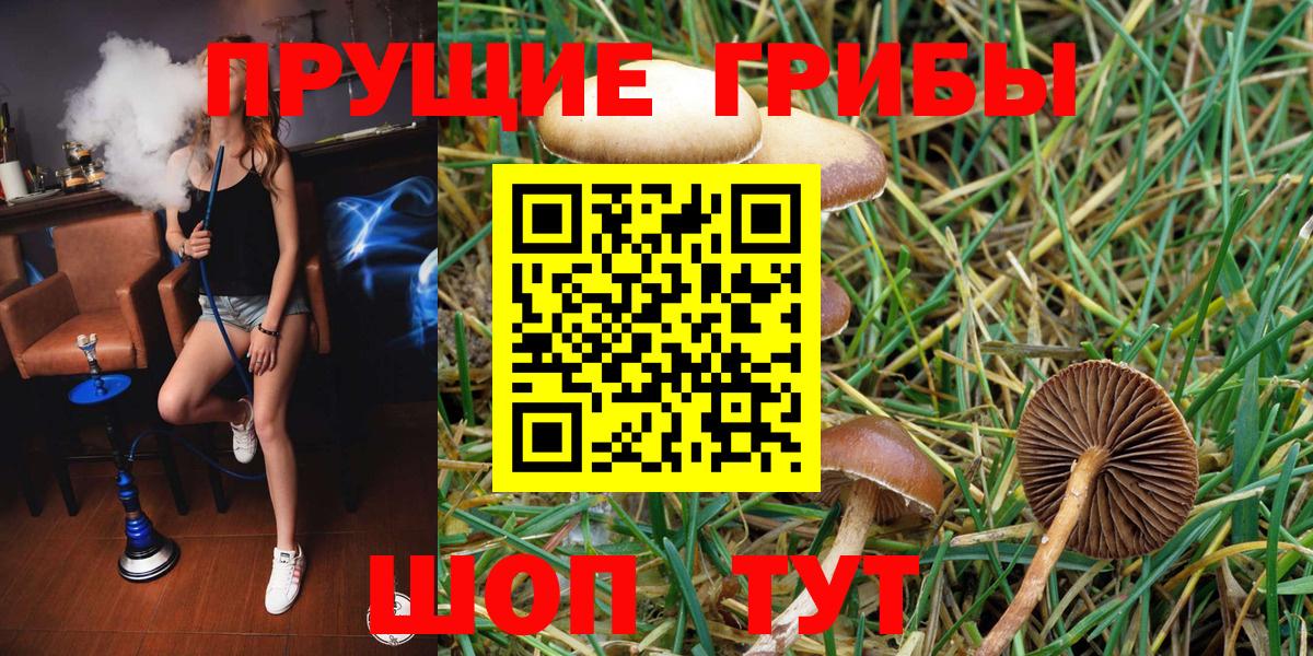 Псилоцибиновые грибы мицелий Муром