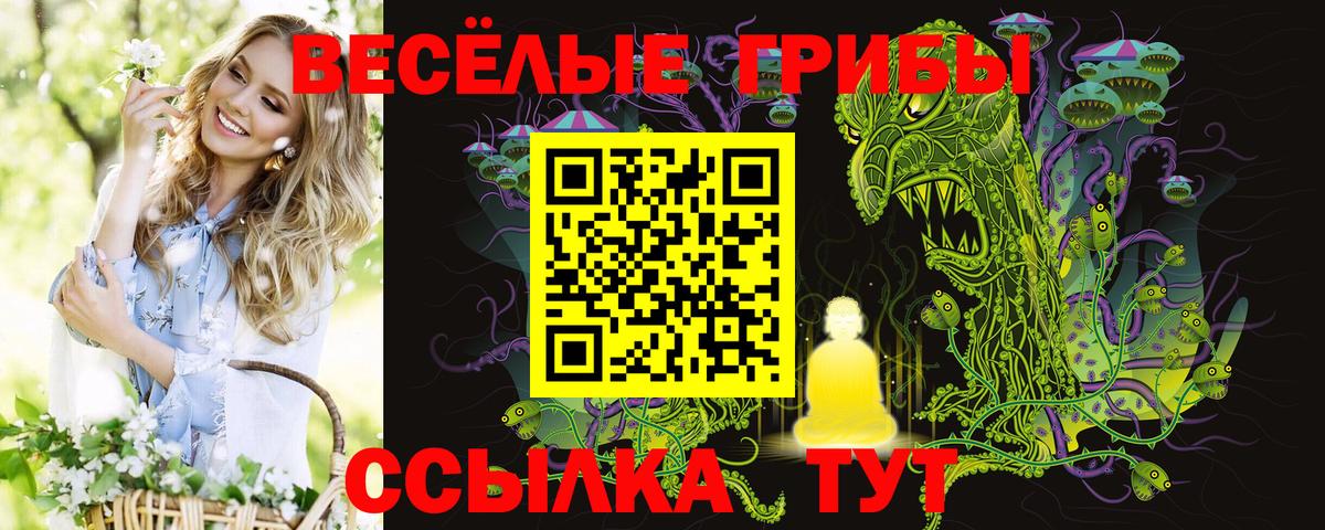 Галлюциногенные грибы MAGIC MUSHROOMS  Вход с VPN  Муром  Галлюциногенные грибы Cubensis 